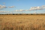 Llano Estacado tillhör platålandet i Texas (region 26).