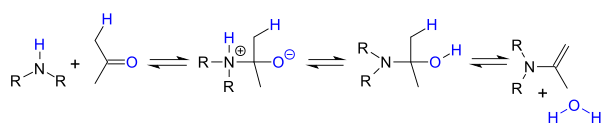 enamine formation by reaction of amine with carbonyl