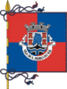 Flag of São Pedro do Sul