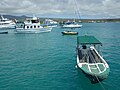 Image 6Water taxi in Puerto Ayora (2011) (from Galápagos Islands)