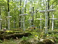 Cemetery of UPA soldiers, Antonivci, Ternopil Oblast, Ukraine