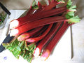 storebought rhubarb stalks