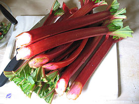 rhubarb (Rheum rhabarbarum)