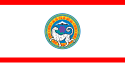 Bandeira oficial de Almati
