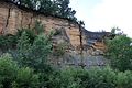 Cummingsville Formation (Upper Ordovician) exposed in Decorah, Iowa. The Cummingsville is the brown upper unit; the Decorah Formation is below.