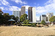 日本庭園 （2022年（令和4年）1月）