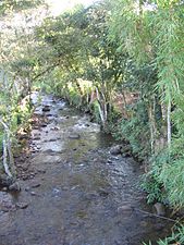 Agua Blanca creek