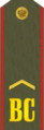 Шевроны на погоне военнослужащего ВС России, 1994 — 2011 гг.