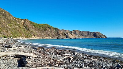 Looking west along the coast of Ohariu Bay from Mākara Beach.