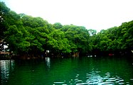 Lago de Camécuaro, Michoacán Klima subtropikala negu lehorrekin (Cwa)