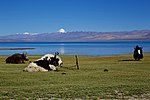 Thumbnail for Lake Manasarovar