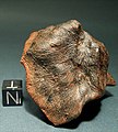 77g oriented Millbillillie eucrite meteorite