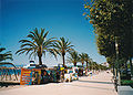 La promenade maritime bordée de palmiers.