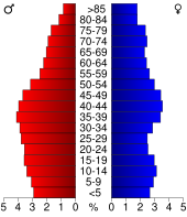 Bevolkingspiramide Fulton County