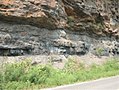 Image 16Bituminous coal seam in southwestern West Virginia (from West Virginia)