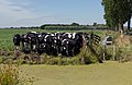 Woerdense Verlaat, cows in pasture along the Bosweg near Lusthof de Haeck