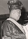 Tuanku Syed Putra