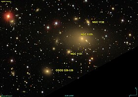 Image illustrative de l’article NGC 1131