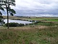 Southwest view across Gadloch Towards the distant Red Road Flats.