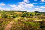 Cannock Chase Forest (Cannock Chase)