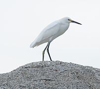 Tayrona national park, Colombia