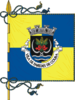 Flag of Paredes de Coura