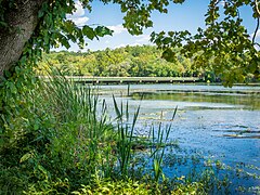 Bridge Over the Ocmulgee River.jpg