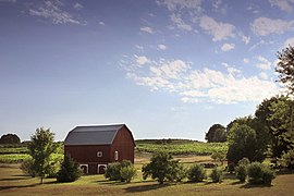 A pastoral farm scene on the Old Mission Peninsula near M-37