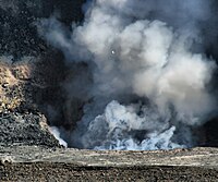 White-tailed tropicbird is flying directly over the Halemaʻumaʻu vent, 2008