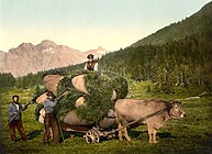 Кошење сена око 1900. г. Швајцарска