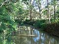 Thumbnail for Bulimba Creek