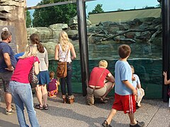 Otter exhibit.