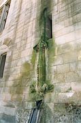 Une autre gouttière en forme de salamandre en face de la première.