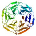 β-propelleri KEAP1:ssä