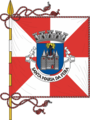 Bandeira de Santa Maria da Feira