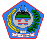 Bitung City