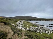 Rectangular stone wall close to coast