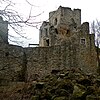 Ruine Windhaag.JPG