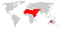 Distribuição de dromedários domesticados no mundo.