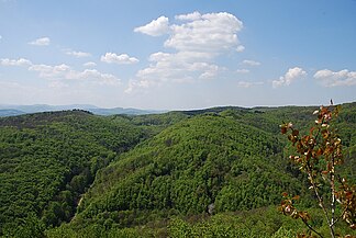 Wienerwald bei Sparbach