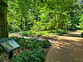 English Woodland Garden at the Missouri Botanical Garden in 2023