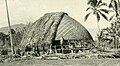 Construction of fale 1902