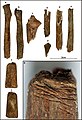 Burial 23 - Chopp human long bones were also present.