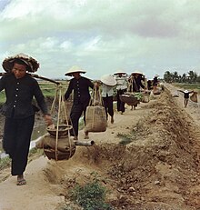 Vietnamese farmers in Tuy Hoa, 1966.