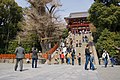 Stairs to the Senior Shrine and the old ginkgo