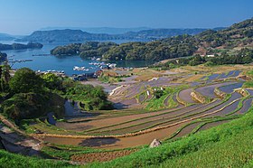 大浦の棚田といろは島