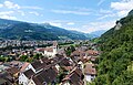 Overlooking the city from near Vaduz Castle