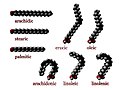 Fatty acids made of long chains of carbon