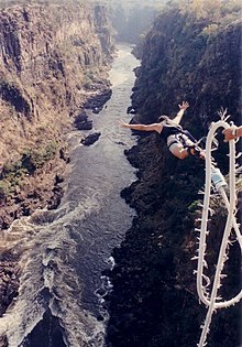 Bill's Bungy Jump.jpg