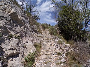 U senté a-a Burdunàira, dùnde de tradisiùn u se lasciâva pè dàssiu ina brancà de sà[104]